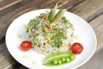 犬の手作りご飯　with Herb