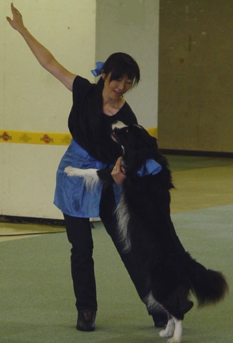 K9フリースタイル(ドッグダンス)【中級クラス】