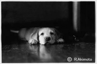WON PHOTO CULTURE 写真中級