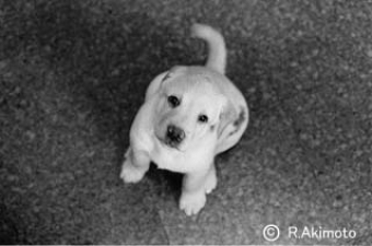 WON PHOTO CULTURE 写真基本
