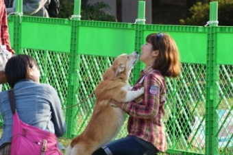 犬のいろは しつけ&マナーin潮風公園