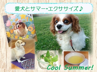 夏の特別クラス☆愛犬とサマー・エクササイズ♪