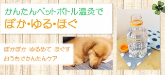 愛犬といっしょに 「ぽか・ゆる・ほぐ」