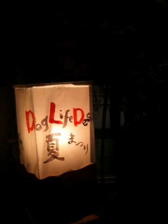 DLD夏祭り!!