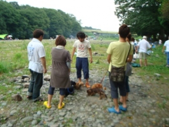 三毛犬BBQ & 川遊びの会