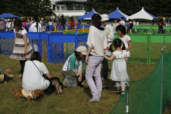 犬のいろは しつけ&マナーin潮風公園