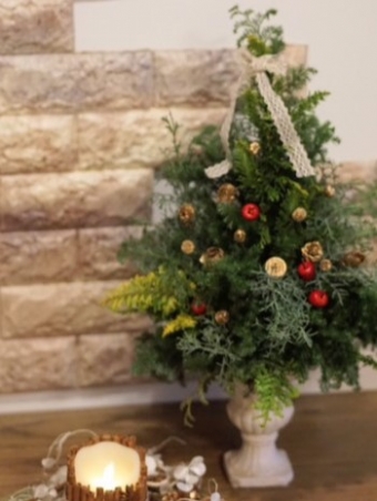愛犬と楽しむフラワーアレンジメント ~Xmas tree 2024~ 