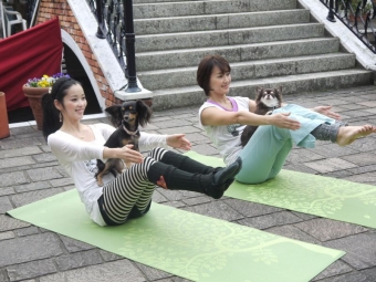 DOG YOGA