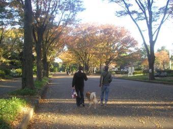 こまいぬツアー