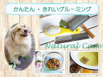 かんたん・きれい グルーミング